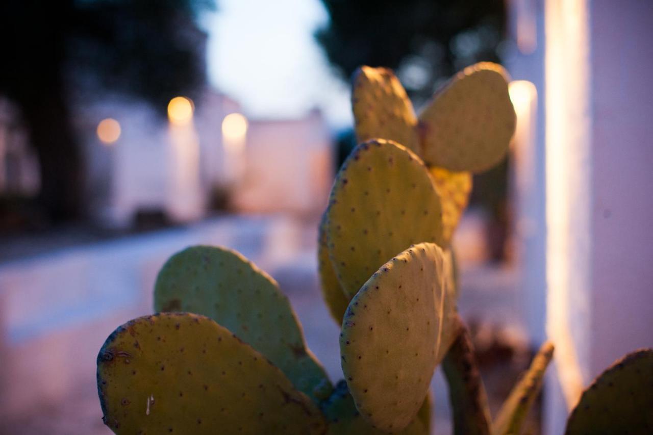 Masseria Cimino Savelletri Exteriér fotografie